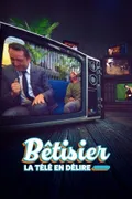 Affiche de Bêtisier : la télé en délire