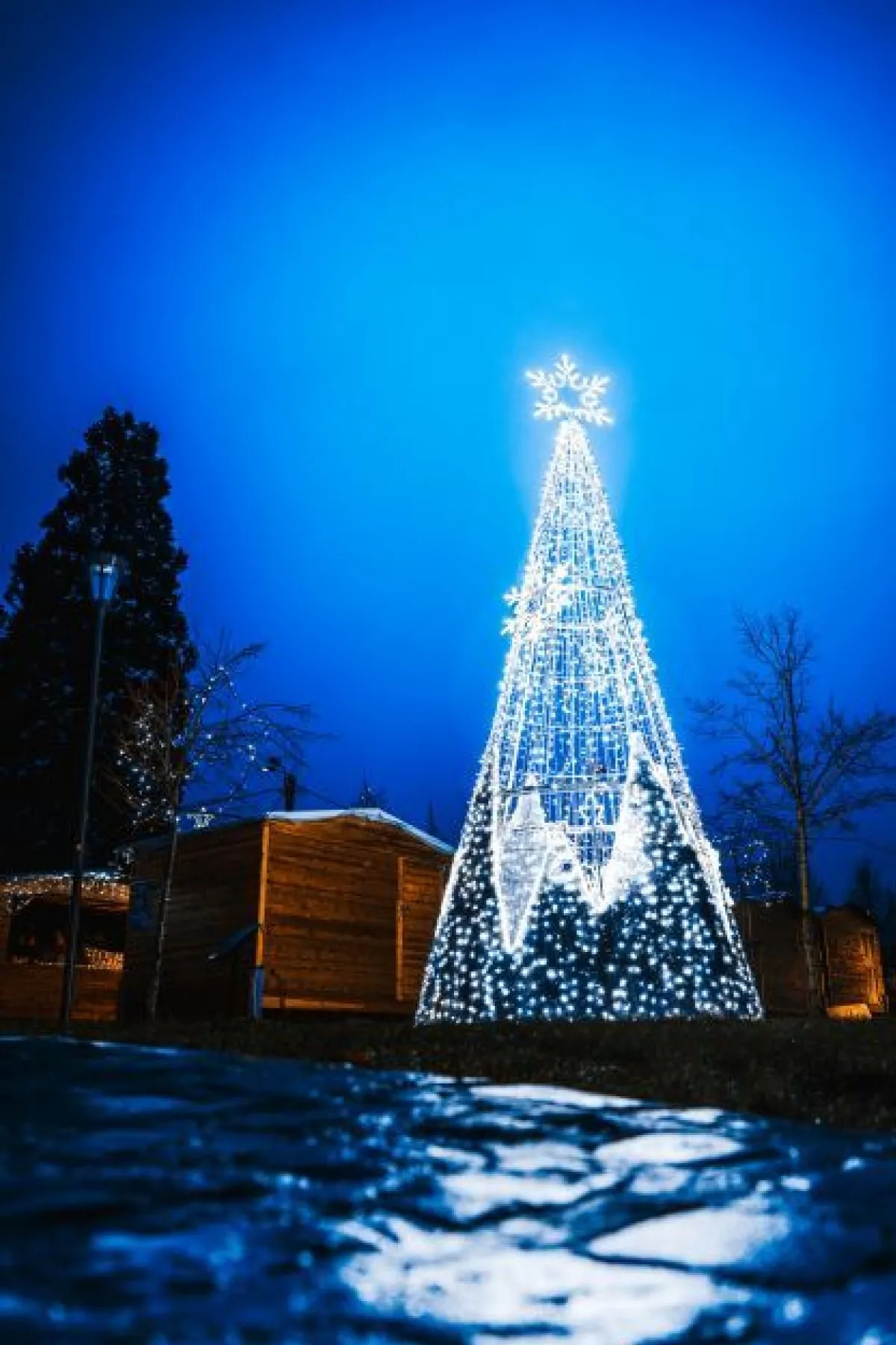 Affiche de Fééries du Parc