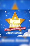Affiche de Le Grand Bêtisier - Bonne année