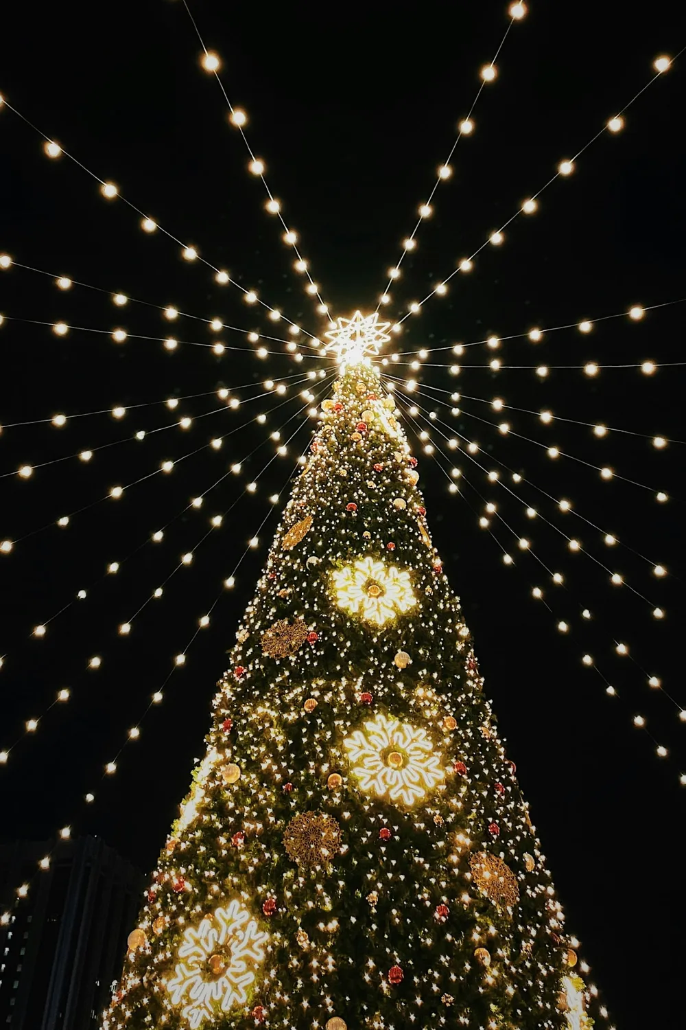 Affiche de Mons coeur en neige