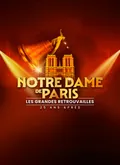 Affiche de Notre-Dame de Paris : les grandes retrouvailles 25 ans après