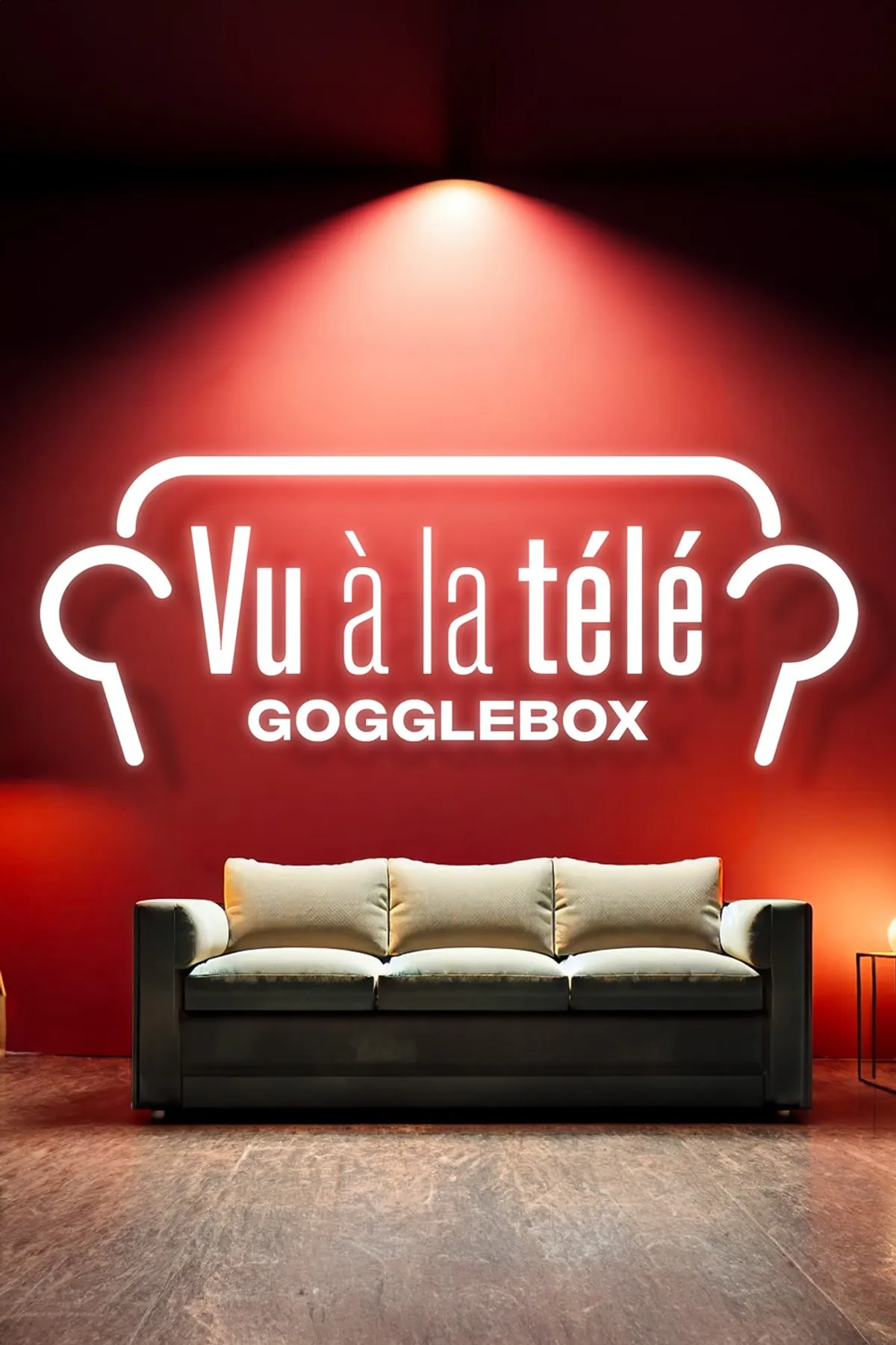 Affiche de Vu à la télé - La rétrospective