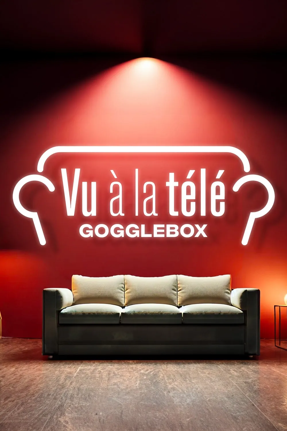 Affiche de Vu à la télé - La rétrospective