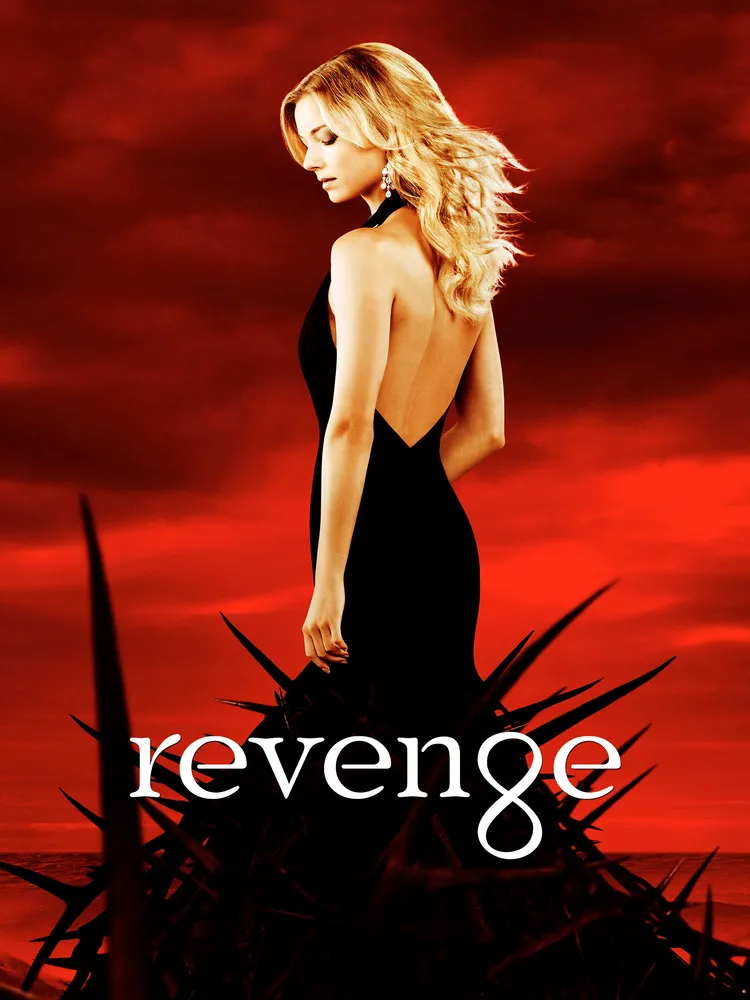 Affiche de Revenge
