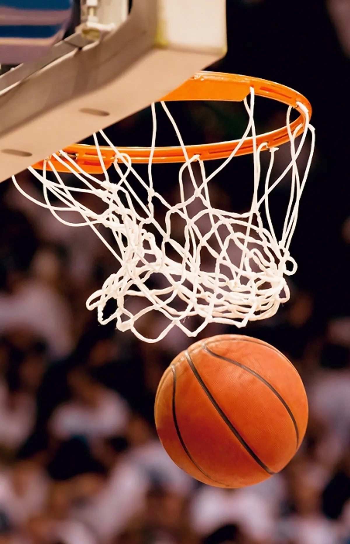Affiche de Basket