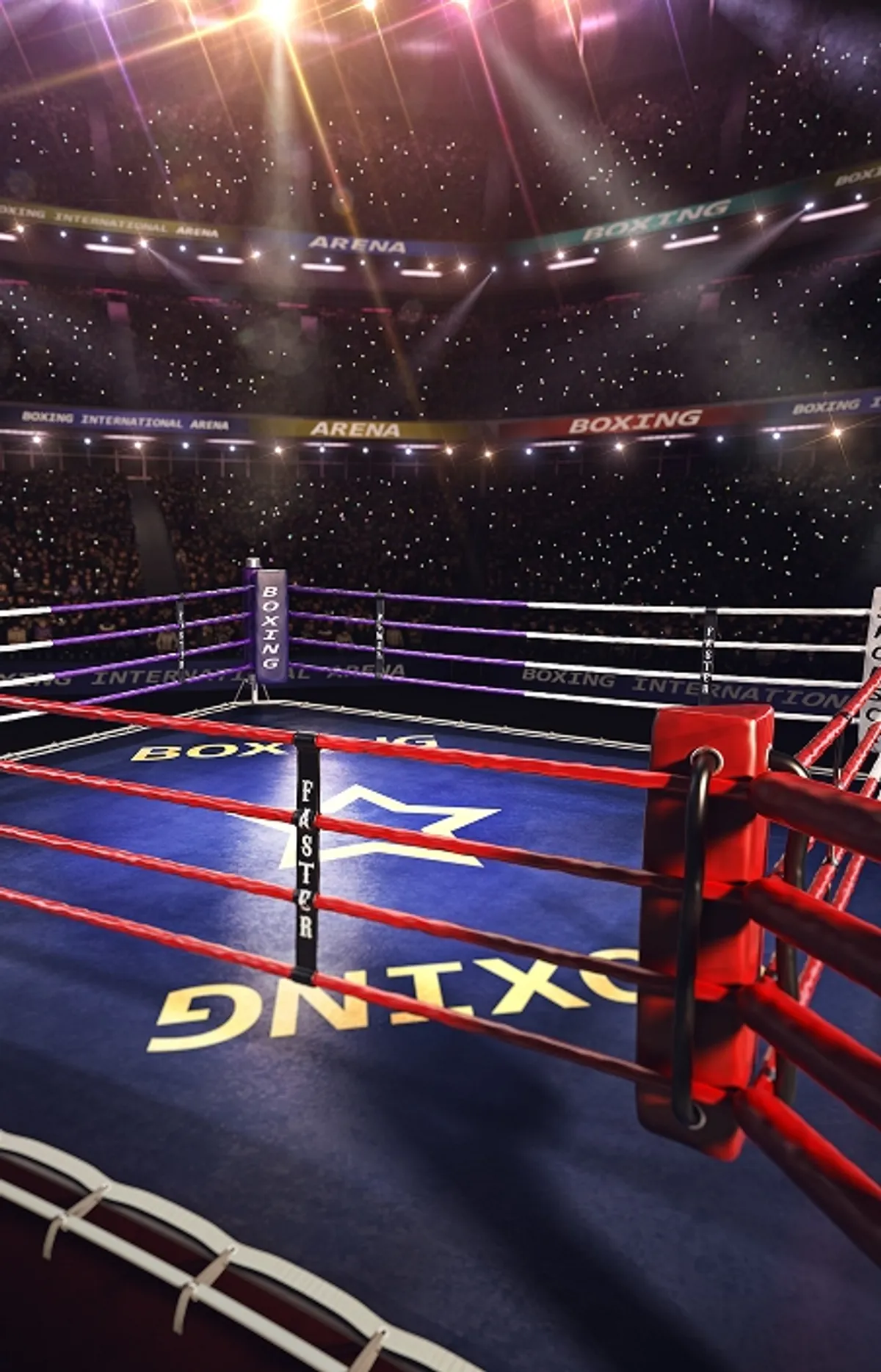 Affiche de Boxe