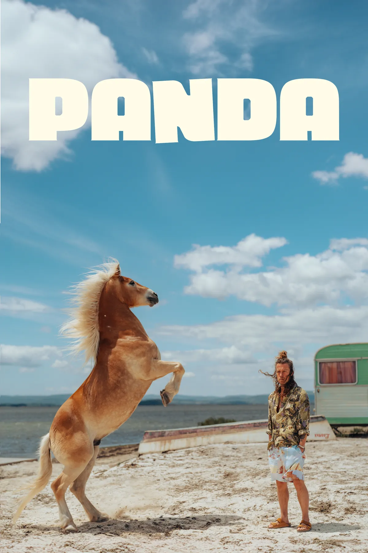 Affiche de Panda