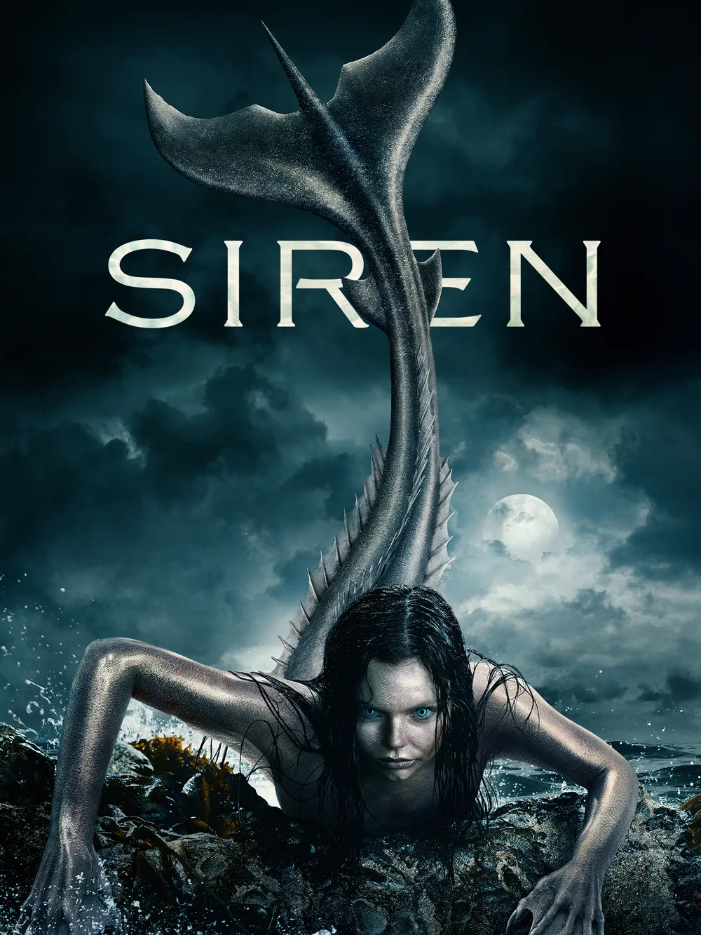 Affiche de Siren